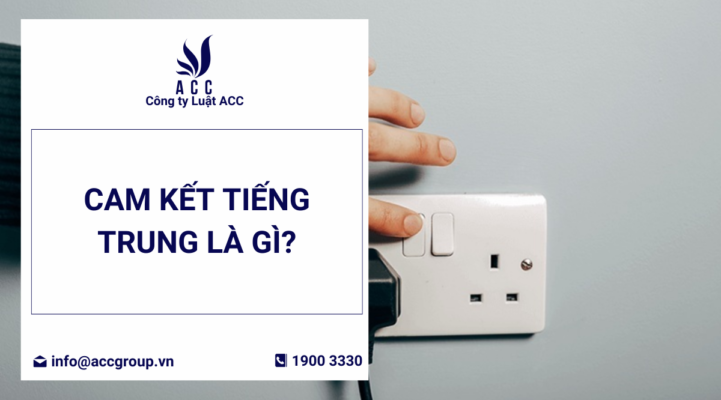 Cam kết tiếng Trung là gì?