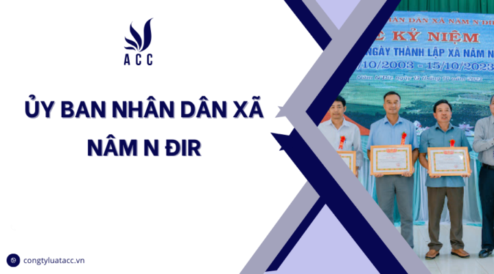 Ủy ban nhân dân xã Nâm N Đir