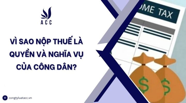 Vì sao nộp thuế là quyền và nghĩa vụ của công dân?.jpg
