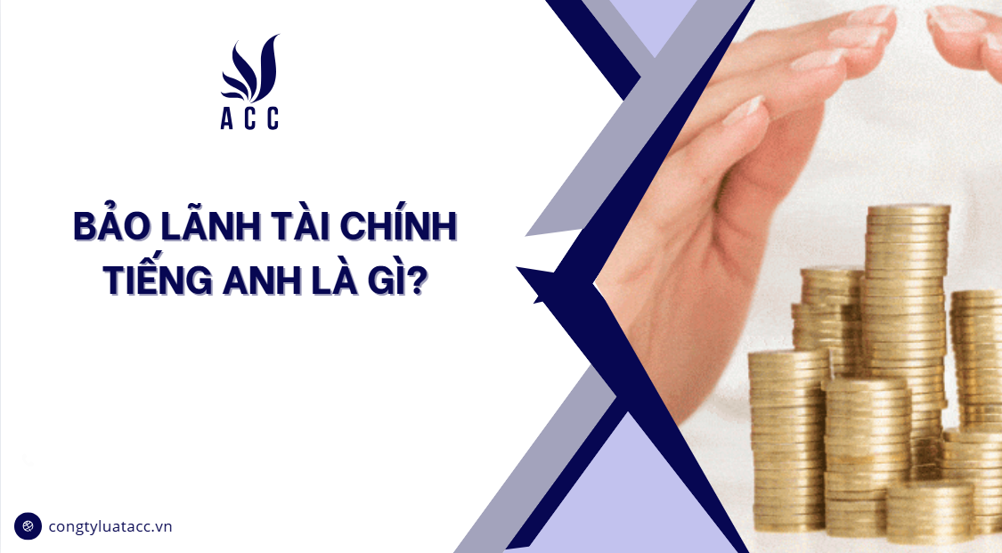 Bảo lãnh tài chính tiếng anh là gì?