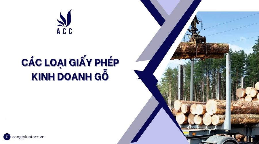 Các loại giấy phép kinh doanh gỗ