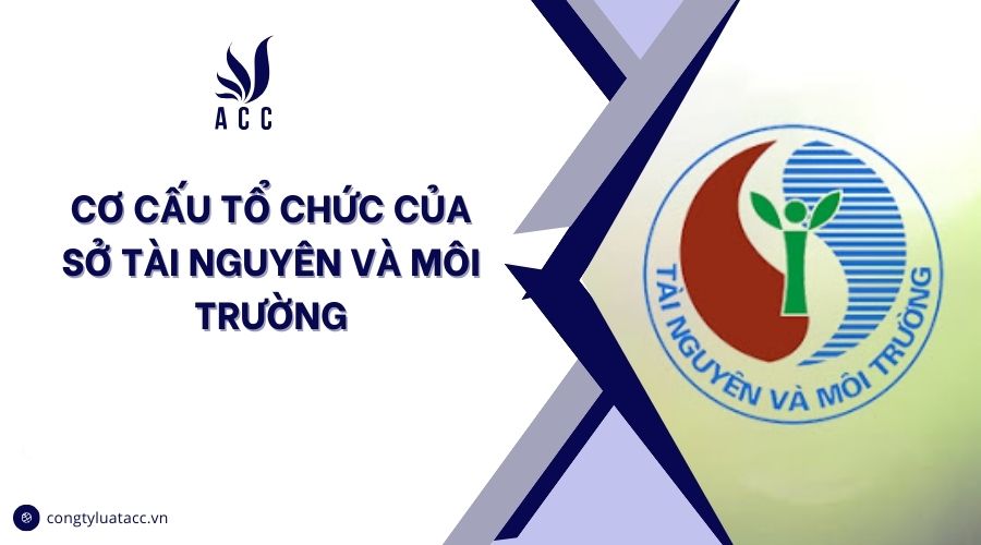 Cơ cấu tổ chức của Sở Tài nguyên và Môi trường