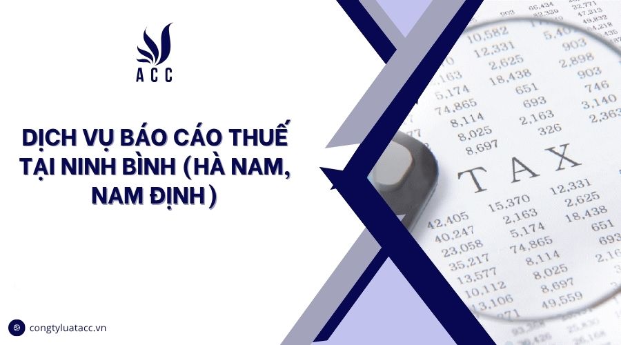 Dịch vụ báo cáo thuế tại Ninh Bình (Hà Nam, Nam Định)