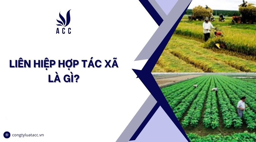 Liên hiệp hợp tác xã là gì?