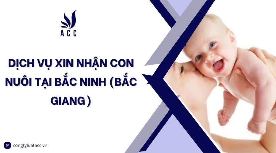Dịch vụ xin nhận con nuôi tại Bắc Ninh (Bắc Giang)