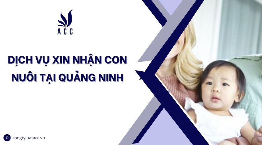 Dịch vụ xin nhận con nuôi tại Quảng Ninh