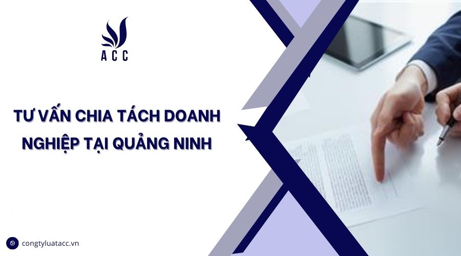 Tư vấn chia tách doanh nghiệp tại Quảng Ninh