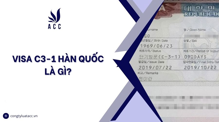 Visa C3-1 Hàn Quốc là gì?