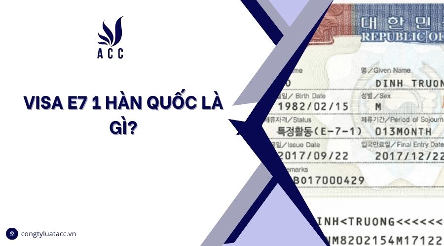 Visa E7 1 Hàn Quốc là gì?