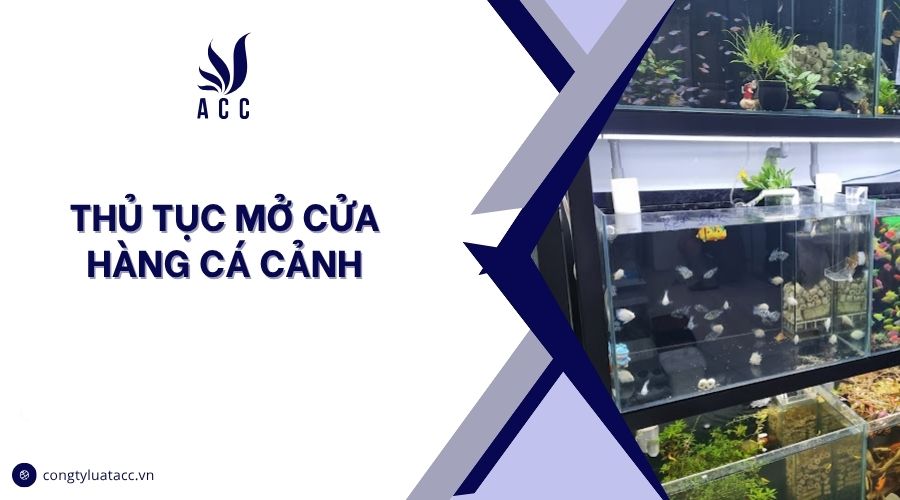 Thủ tục mở cửa hàng cá cảnh