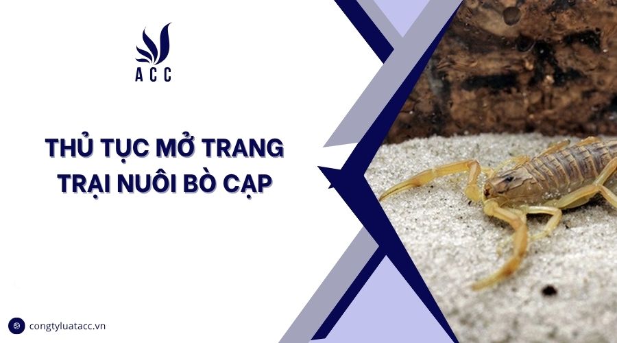 Thủ tục mở trang trại nuôi bò cạp