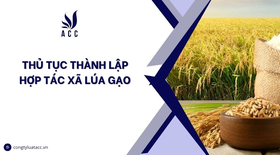 Thủ tục thành lập hợp tác xã lúa gạo