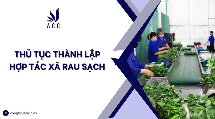 Thủ tục thành lập hợp tác xã rau sạch