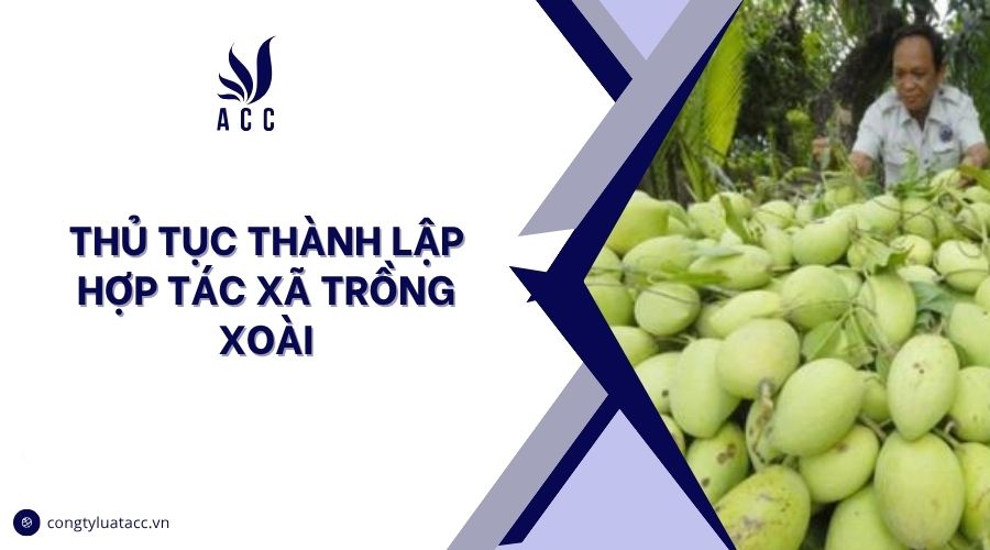 Thủ tục thành lập hợp tác xã trồng xoài