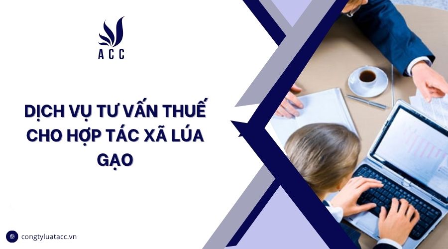 Dịch vụ tư vấn thuế cho hợp tác xã lúa gạo