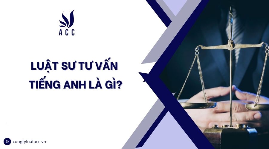 Luật sư tư vấn tiếng Anh là gì?