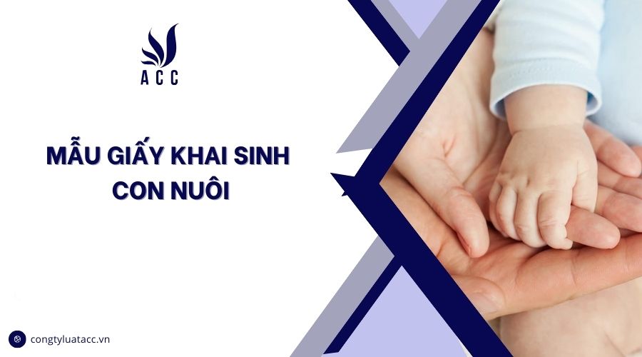 Mẫu giấy khai sinh con nuôi