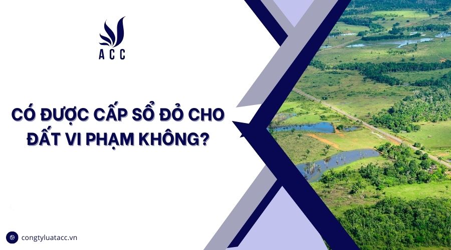 Có được cấp sổ đỏ cho đất vi phạm không?
