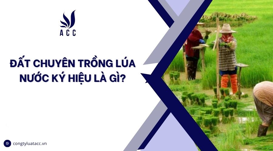Đất chuyên trồng lúa nước ký hiệu là gì?