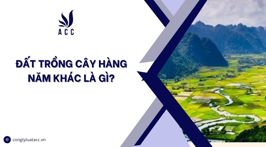 Đất trồng cây hàng năm khác là gì?