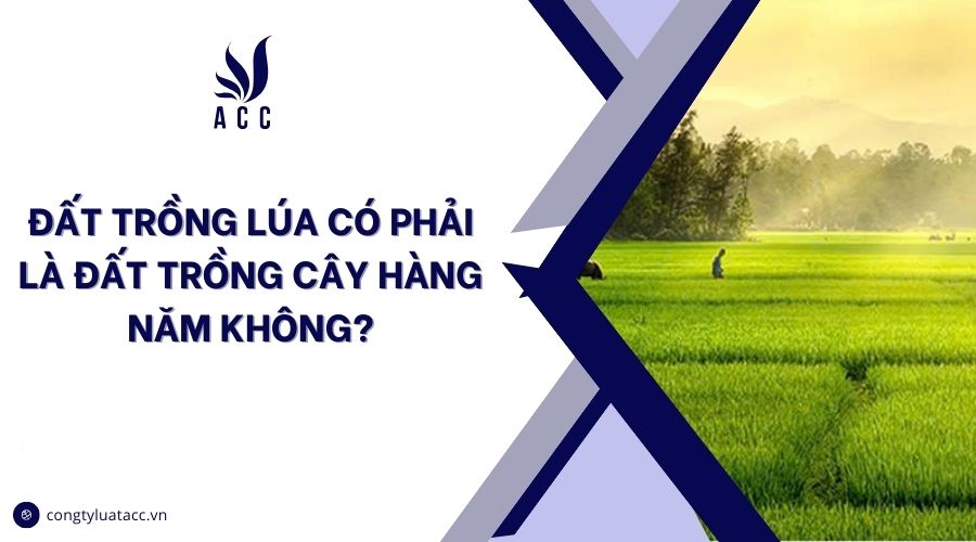 Đất trồng lúa có phải là đất trồng cây hàng năm không?