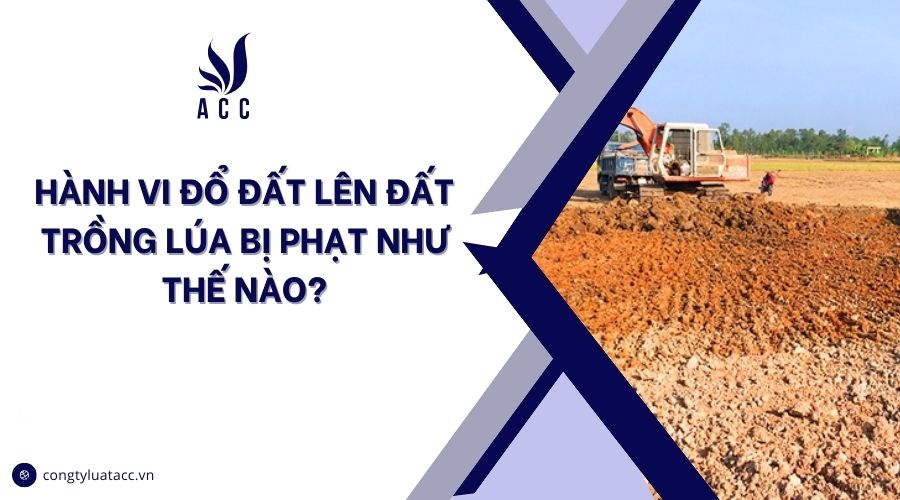 Hành vi đổ đất lên đất trồng lúa bị phạt như thế nào?