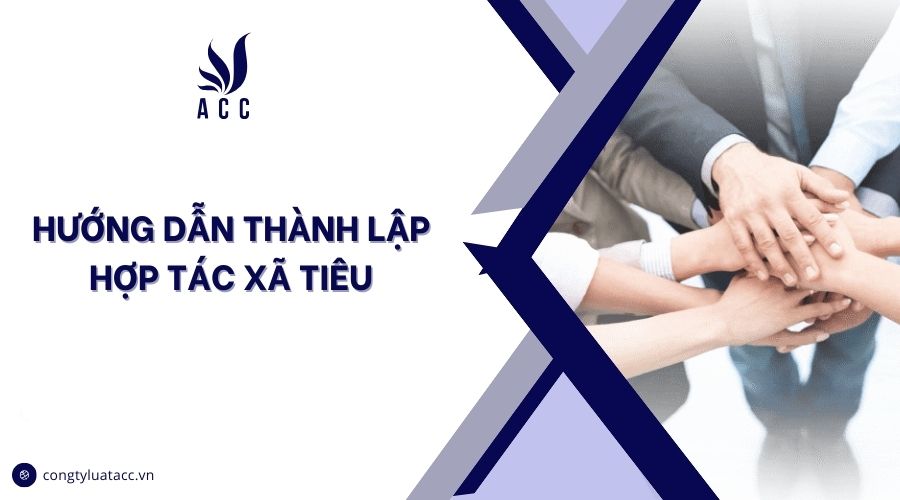 Hướng dẫn thành lập hợp tác xã tiêu