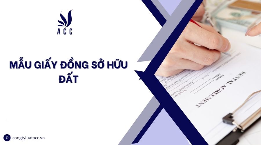 Mẫu giấy đồng sở hữu đất