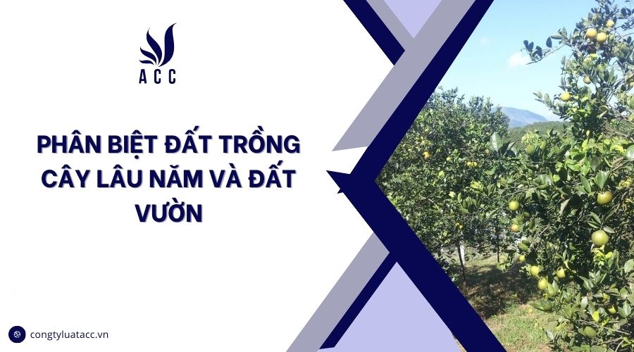 Phân biệt đất trồng cây lâu năm và đất vườn