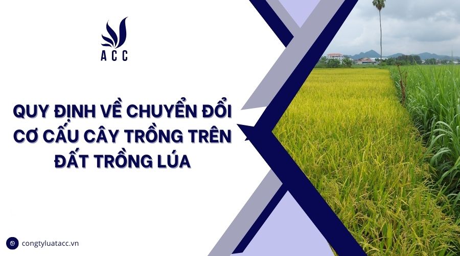 Quy định về chuyển đổi cơ cấu cây trồng trên đất trồng lúa