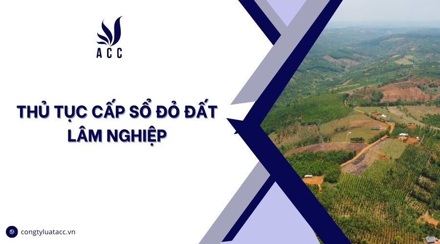 Thủ tục cấp sổ đỏ đất lâm nghiệp