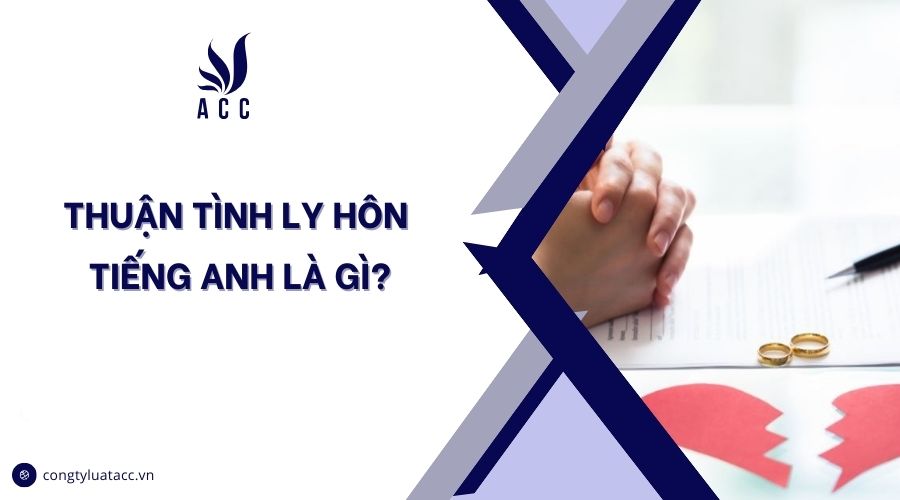 Ly hôn tiếng Anh là gì