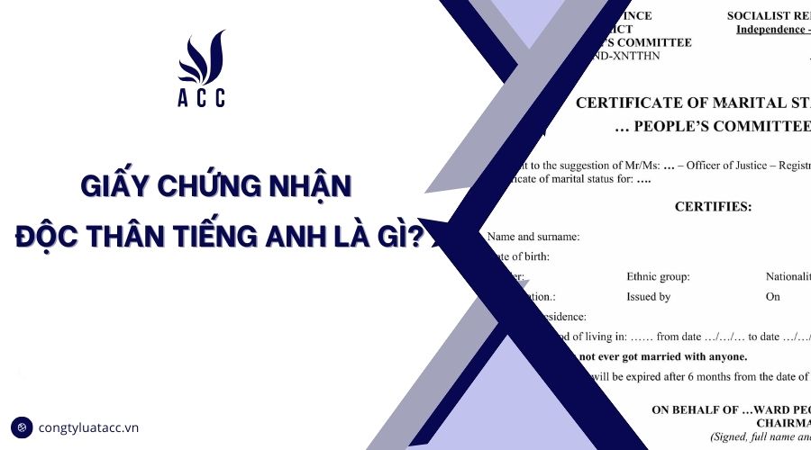 Giấy chứng nhận độc thân tiếng anh là gì?