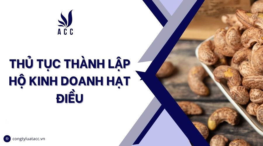 Thủ tục thành lập hộ kinh doanh hạt điều