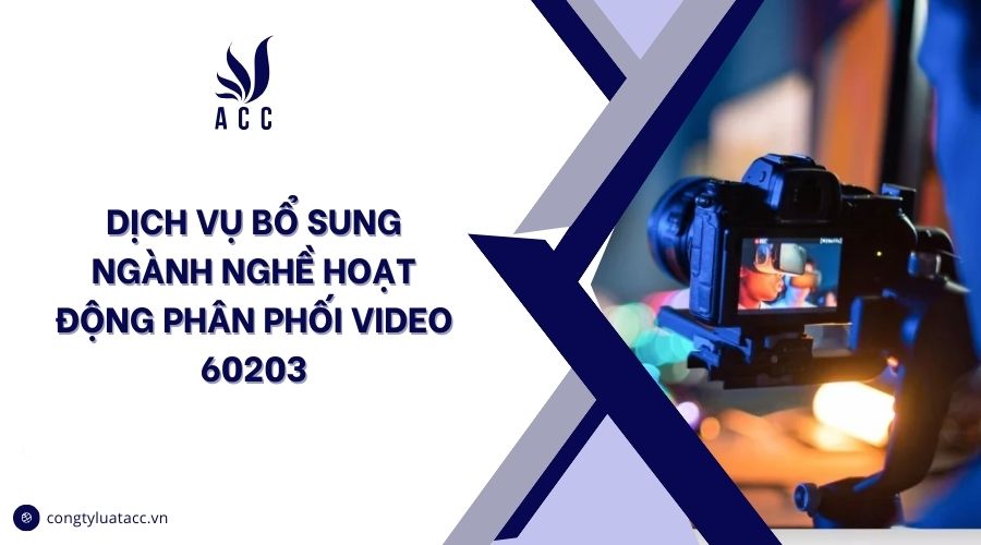 Dịch vụ bổ sung ngành nghề Hoạt động phân phối video 60203