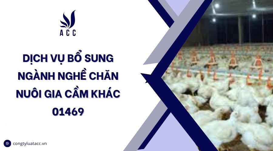 Dịch vụ bổ sung ngành nghề chăn nuôi gia cầm khác 01469