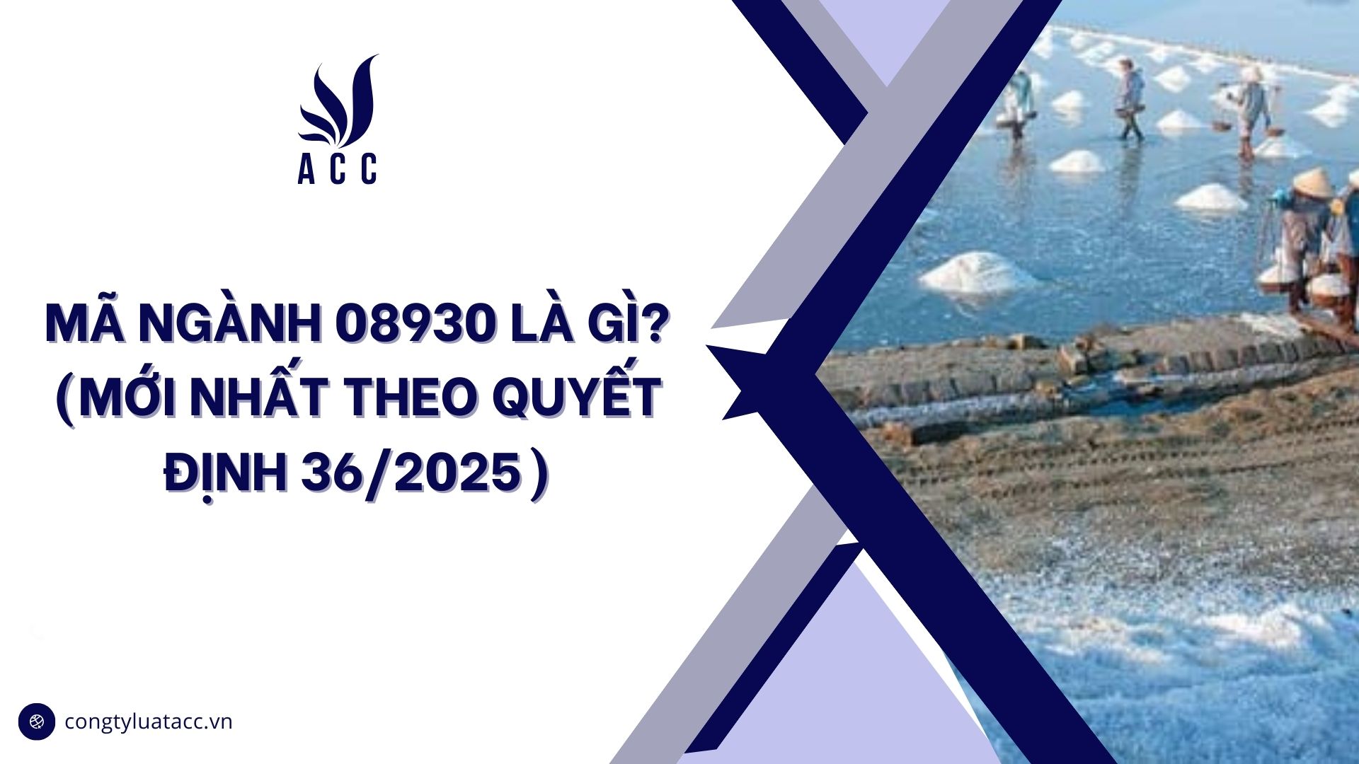 Mã ngành 08930 là gì? (Mới nhất theo quyết định 36/2025)