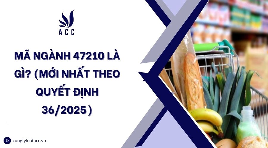Mã ngành 47210 là gì? (Mới nhất theo quyết định 36/2025)