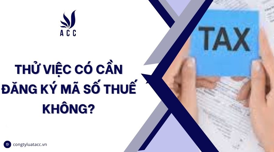 Thử việc có cần đăng ký mã số thuế không?