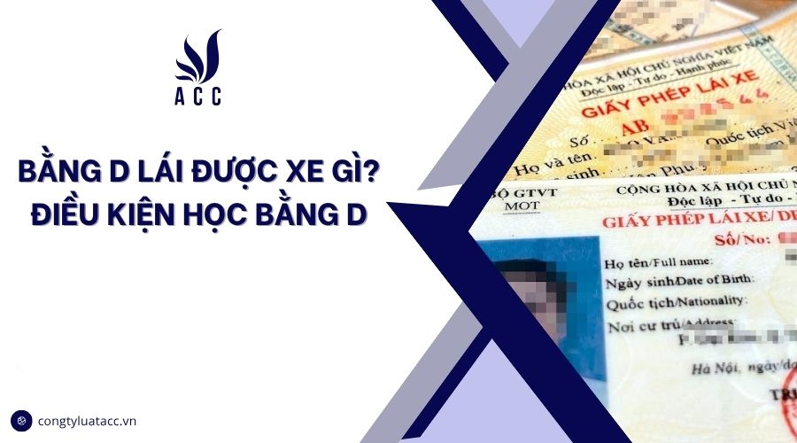 Bằng D lái được xe gì? Điều kiện học bằng D