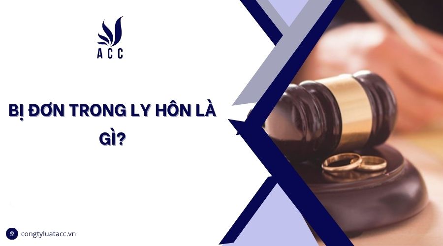Bị đơn trong ly hôn là gì?