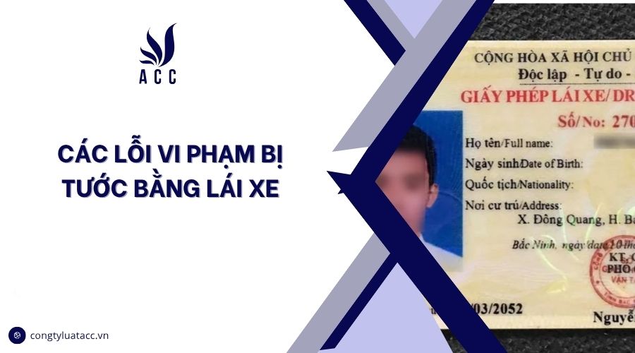 Các lỗi vi phạm bị tước bằng lái xe