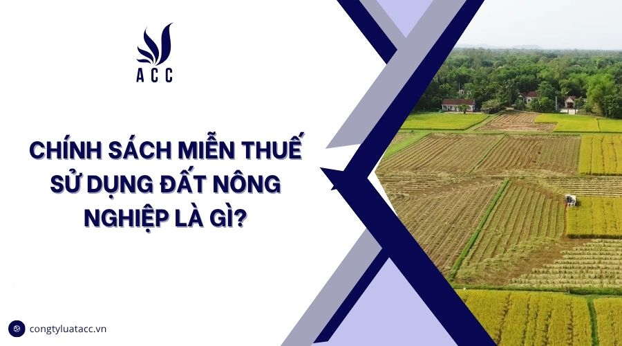 Chính sách miễn thuế sử dụng đất nông nghiệp là gì?