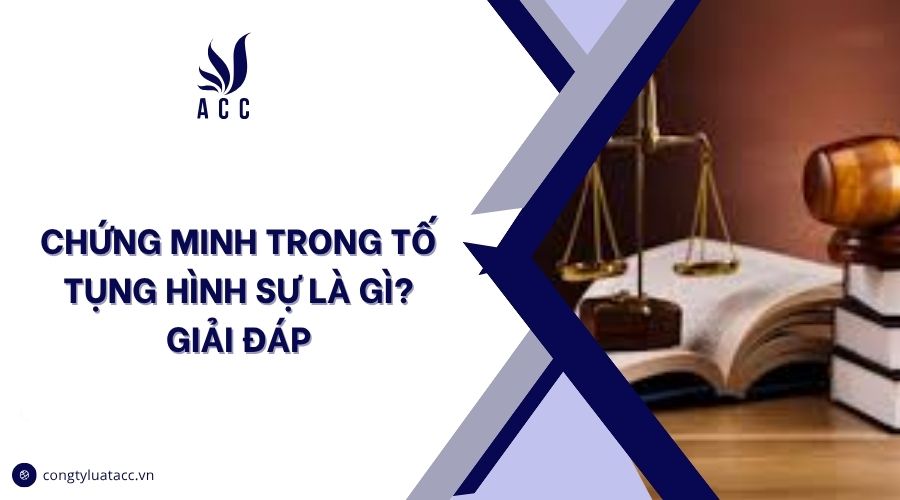 Chứng minh trong tố tụng hình sự là gì? Giải đáp