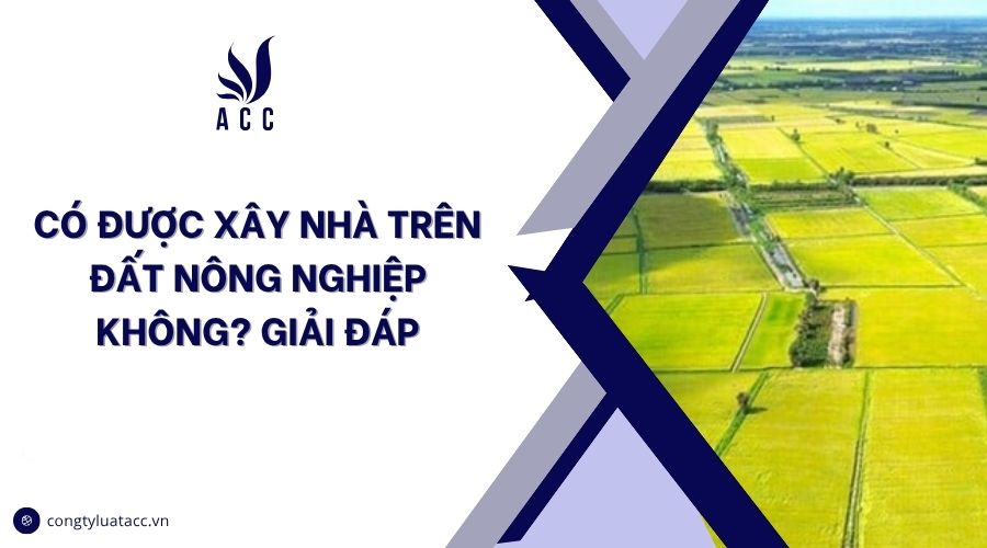 Có được xây nhà trên đất nông nghiệp không? Giải đáp