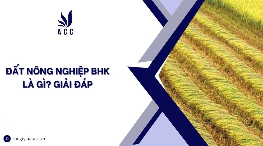 Đất nông nghiệp BHK là gì? Giải đáp