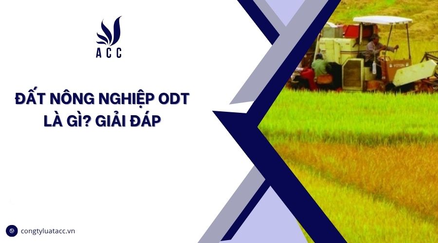 Đất nông nghiệp ODT là gì? Giải đáp