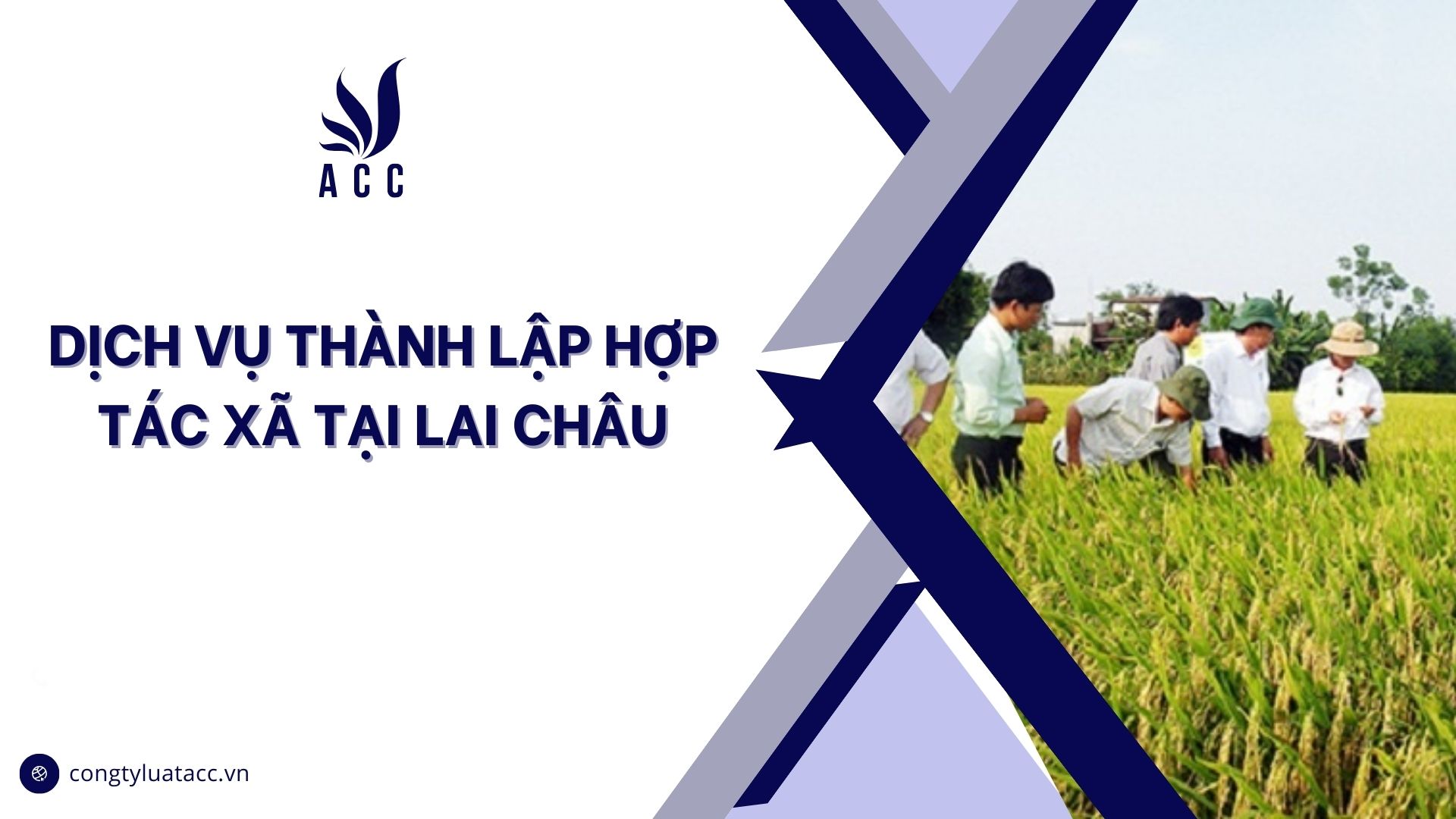 Dịch vụ thành lập hợp tác xã tại Lai Châu