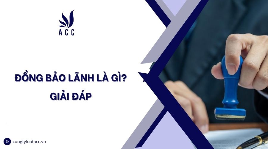 Đồng bảo lãnh là gì? Giải đáp