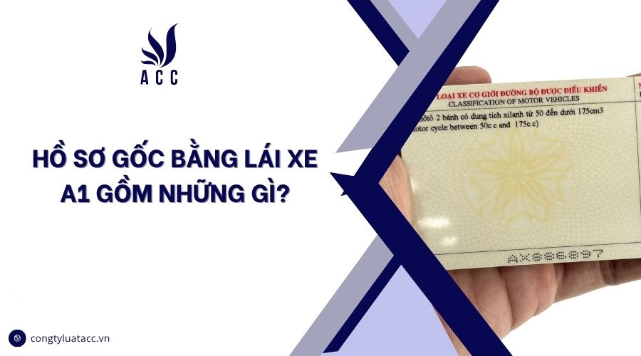 Hồ sơ gốc bằng lái xe A1 gồm những gì?